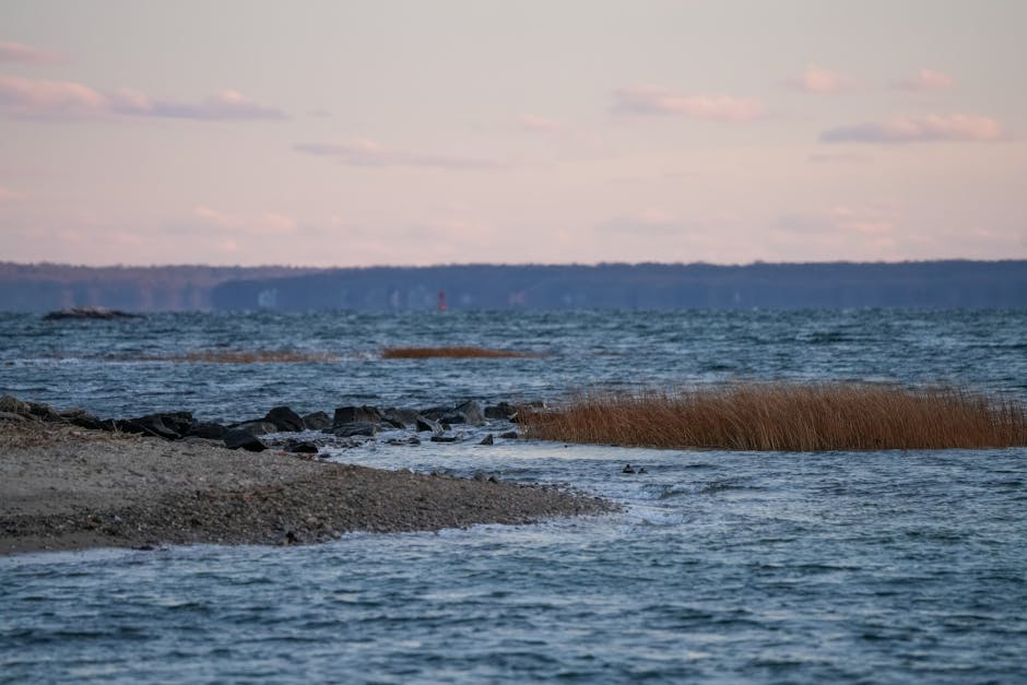 乳癌化療療程全解析,輕鬆搞懂治療過程